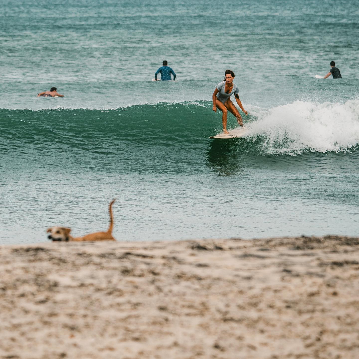 Mellow right-hand reef break at Lazy Right